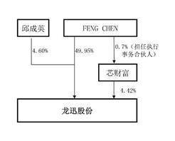 龙迅半导体（合肥）股份有限公司2022年度陈述摘要