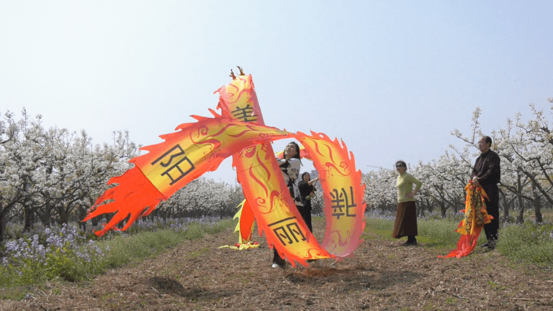 蠡县梨花节图片