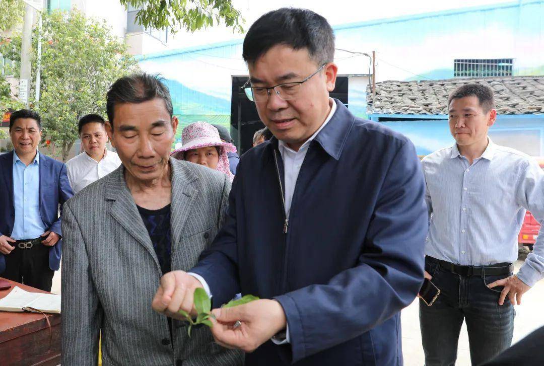 4月11日,县委书记周乃松深入武曲镇开展工作调研,实