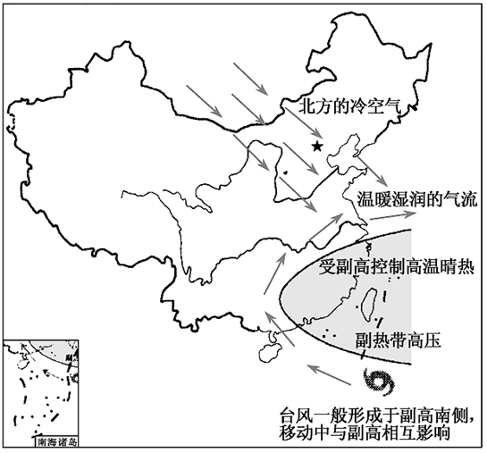 莲藕种子（莲藕的播种时间和收获时间是什么） 第3张