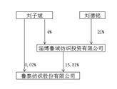 鲁泰纺织股份有限公司2022年度陈述摘要