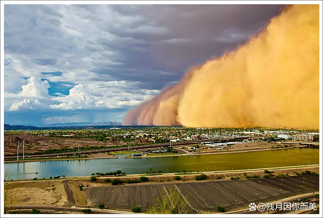 需要国际社会的共同努力才能把沙尘暴防治住,不再任其发展