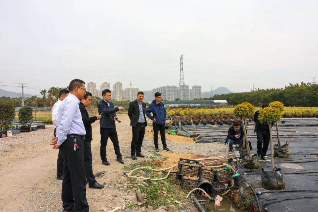 节水节肥省工,江陵县丰泽园生态农场实施智能灌溉_项目_招商_技术
