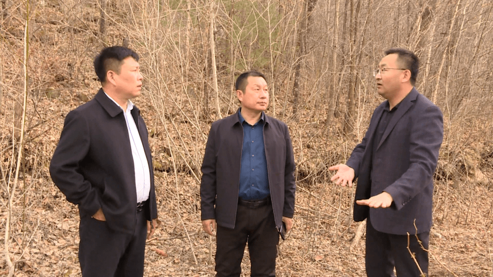 4月10日,县委副书记,县长王福源踏查松花江旅游项目建设情况.