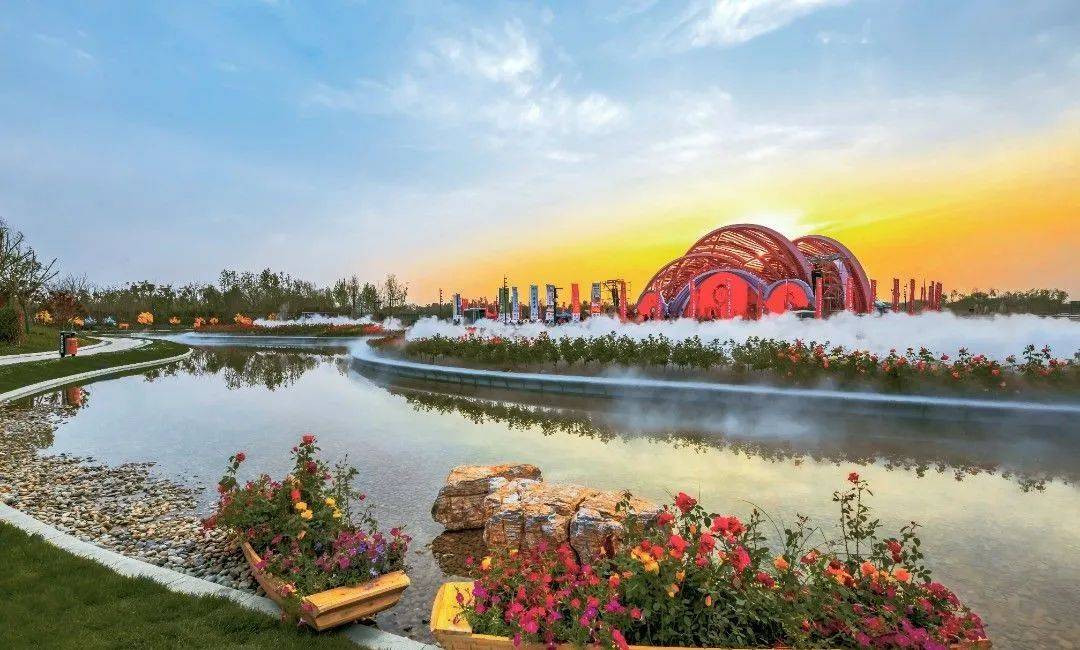 南阳月季 面向世界美丽绽放_中国_活动_绿色