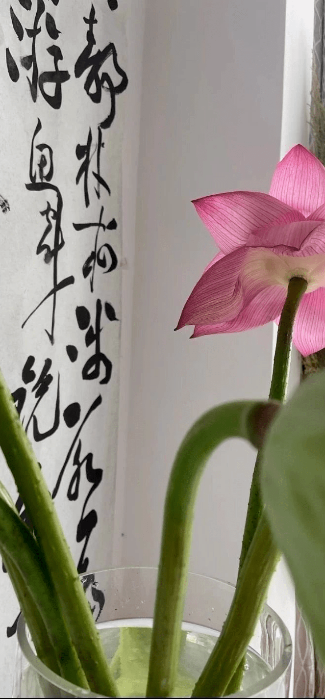 壁纸| 超好看的文艺ins风锁屏壁纸 676767