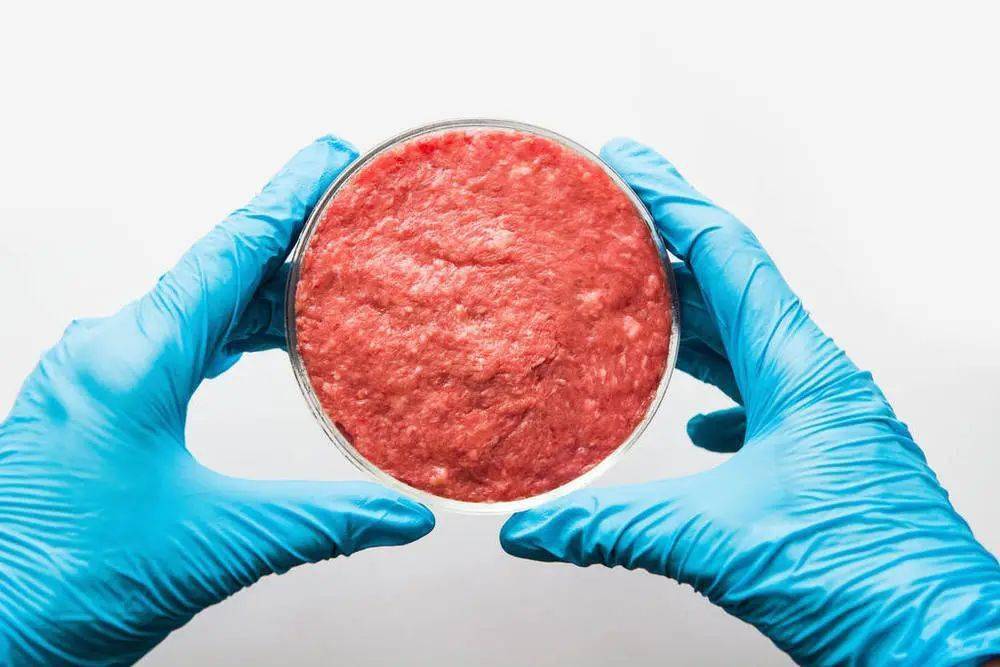 重组肉,人造肉还是肉吗?这种"狠活"真能吃吗?_食品_产品_生产