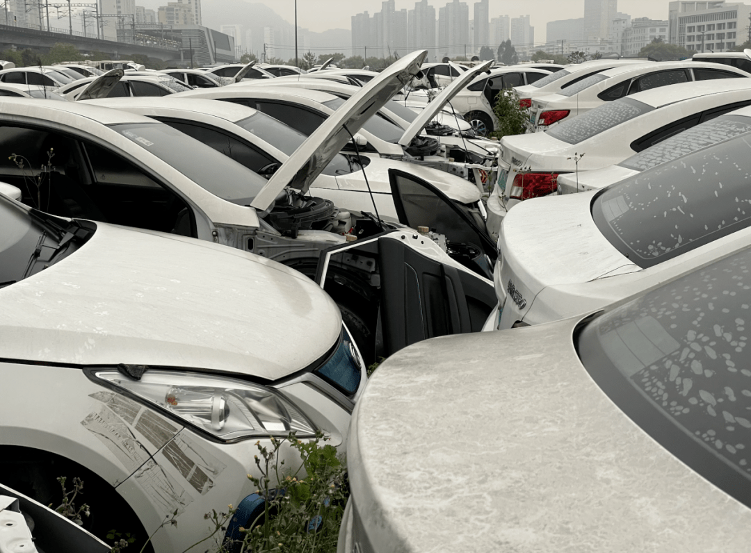 看望汽车“墓地” ：消逝的网约车、共享汽车，在那里论斤卖 || 深度