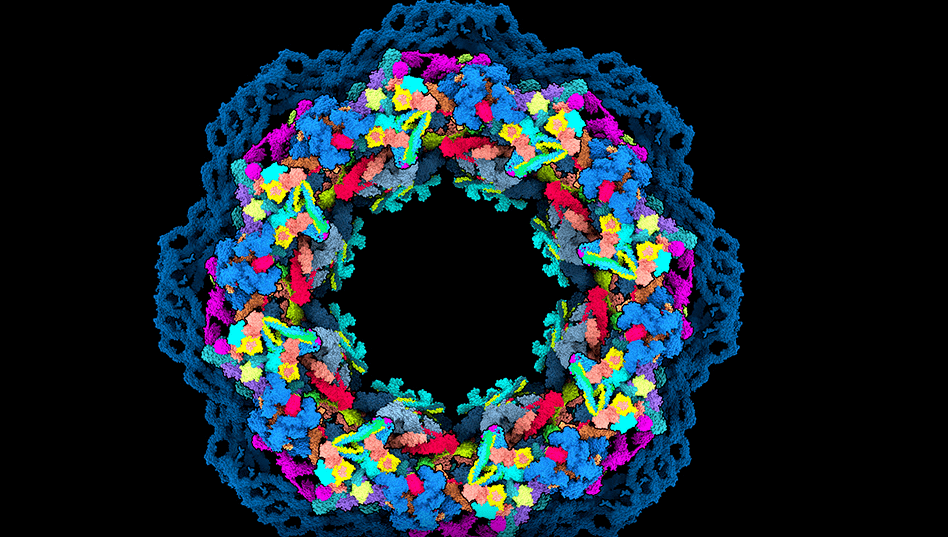 ŵ��������⣺�䶳�羵��������ֱ��ʸ���