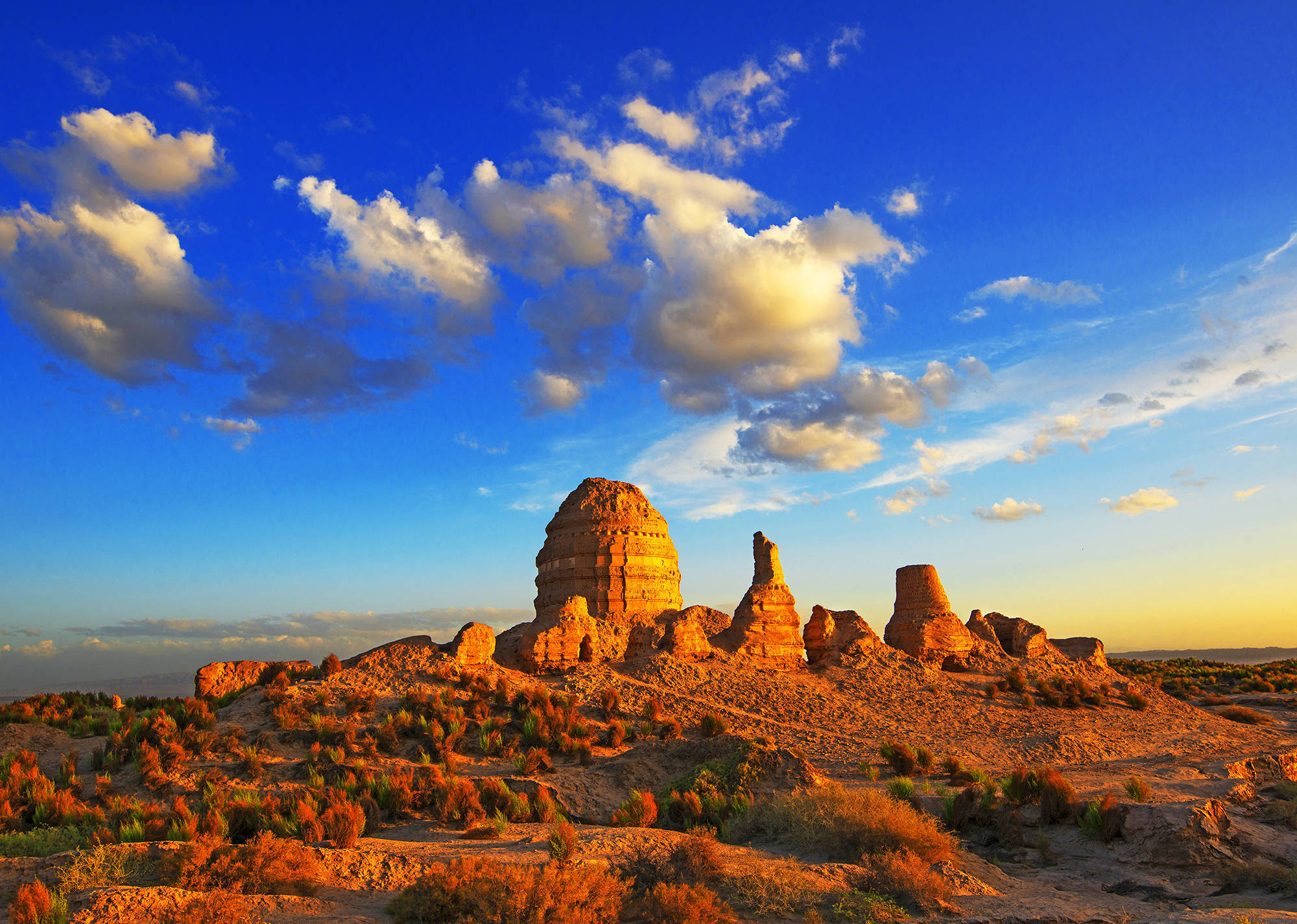 酒泉市长三角地区招商推介暨发展论坛在上海举行_合作_项目_产业链