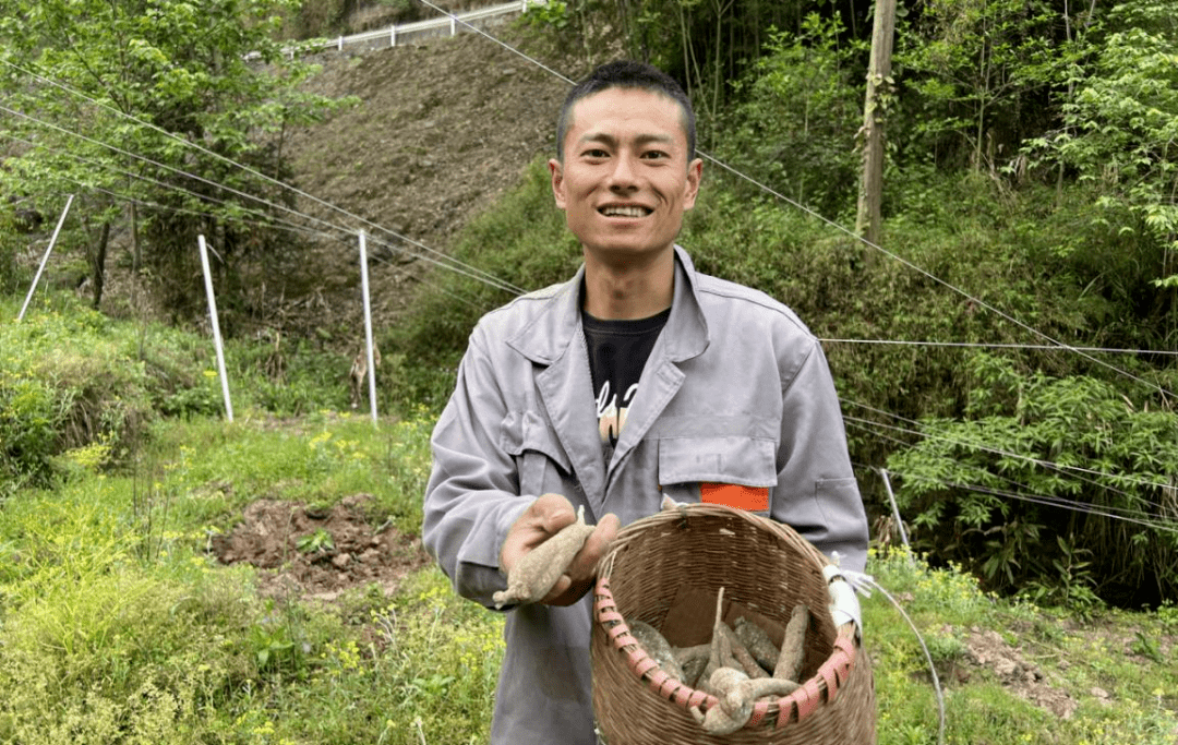 春种小吊瓜 增收顶呱呱_种植_发展_产业