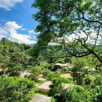 退休看世界,小住几个月,适合旅居养老的8个城市_云南昆明_生活_三亚