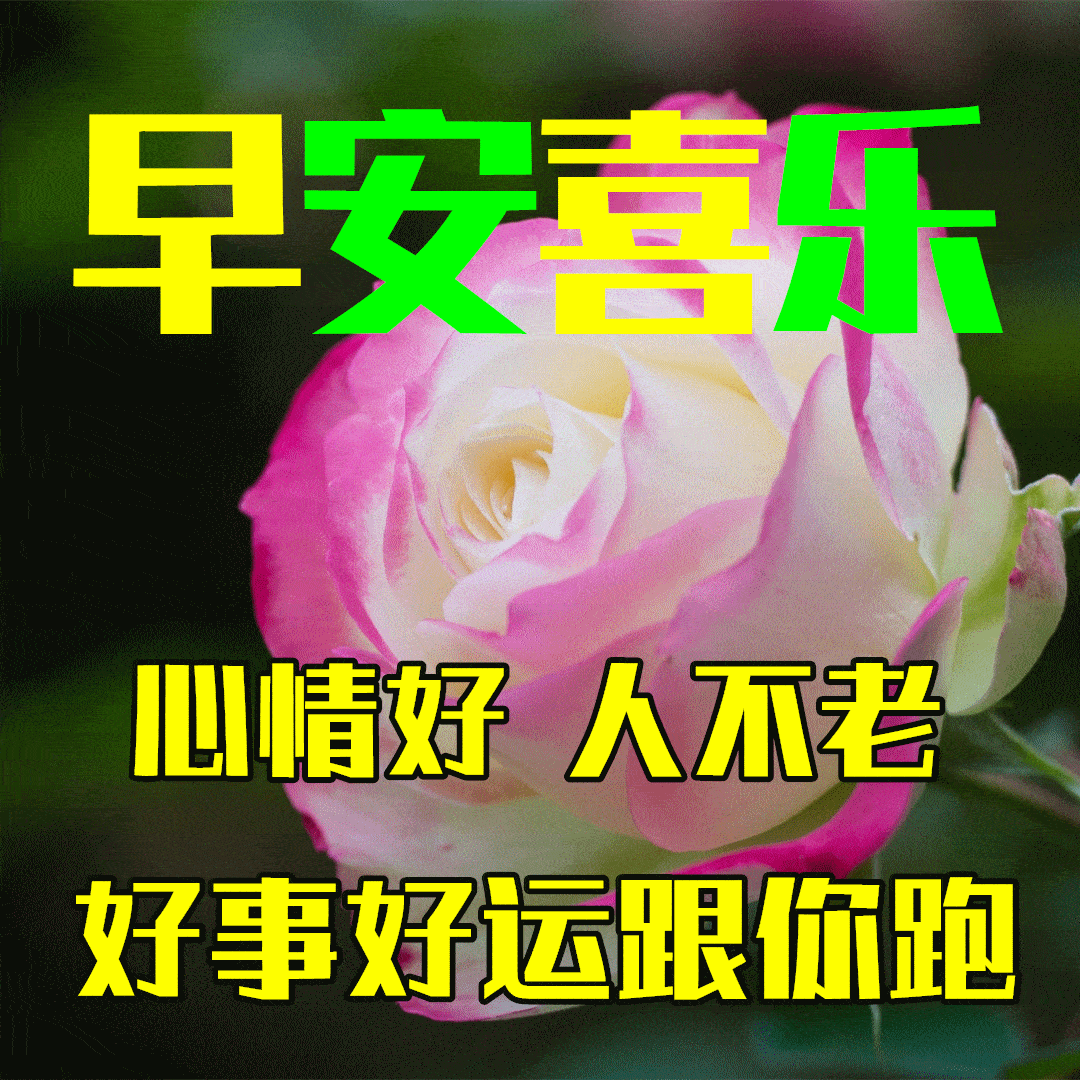 4月14日最漂亮早上好动态表情图片大全,早晨好动图美图大全