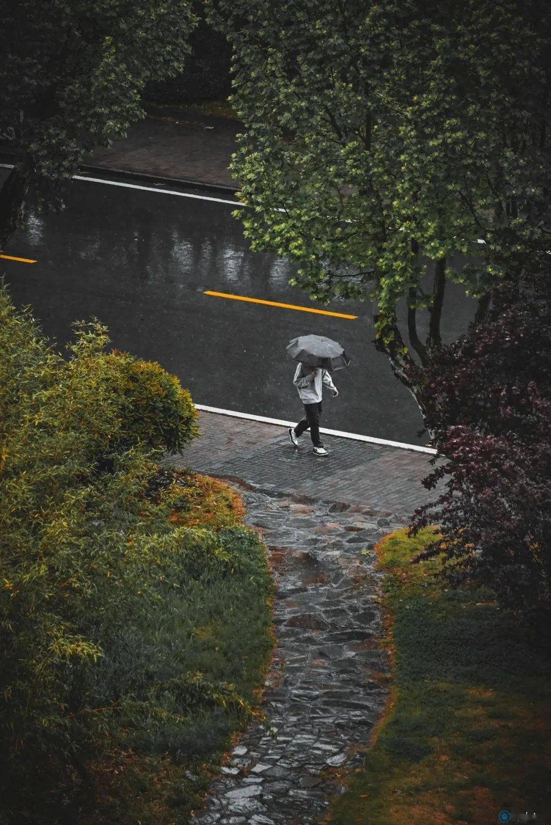 雨天人物融入环境中远拍 前景 俯拍打伞将人物主体缩小还可以利用前景