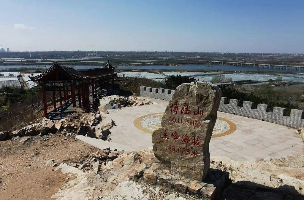 走进硝烟弥漫过的昌邑博陆山_山阳_梨花_小时候