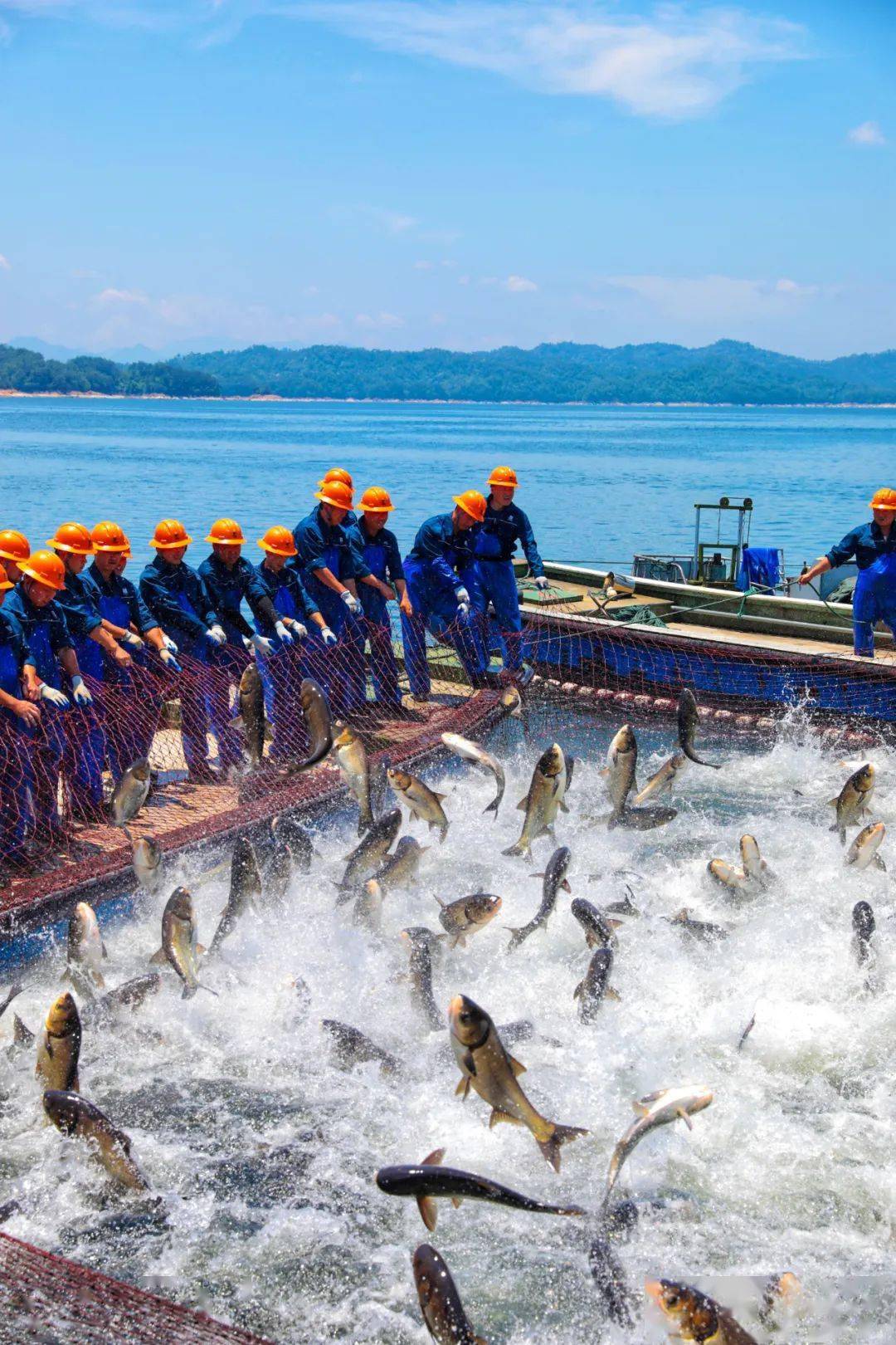 首届全国大水面生态渔业论坛(第一轮通知)将于5月29-31日举行,报名啦!