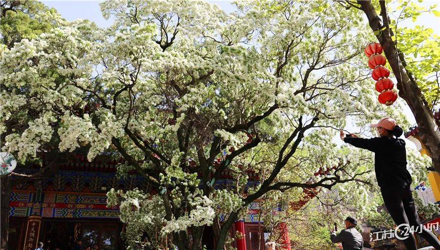 江苏24小时·滚动推送｜在春天里激情奔驰 多场马拉松赛鸣枪开赛