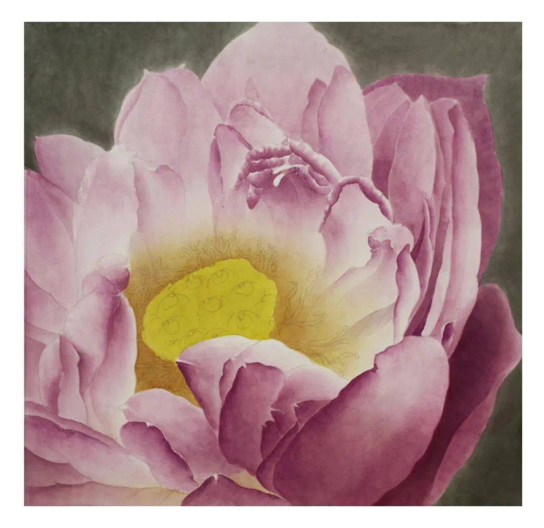 【教程】龚雪青工笔荷花《玉露》绘制步骤_花瓣_莲蓬_颜色