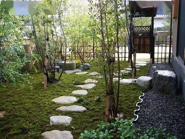 园艺 | 苔藓|微景观 | 传统文化| 庭院情怀| 视觉新浪微博id:行行之沙