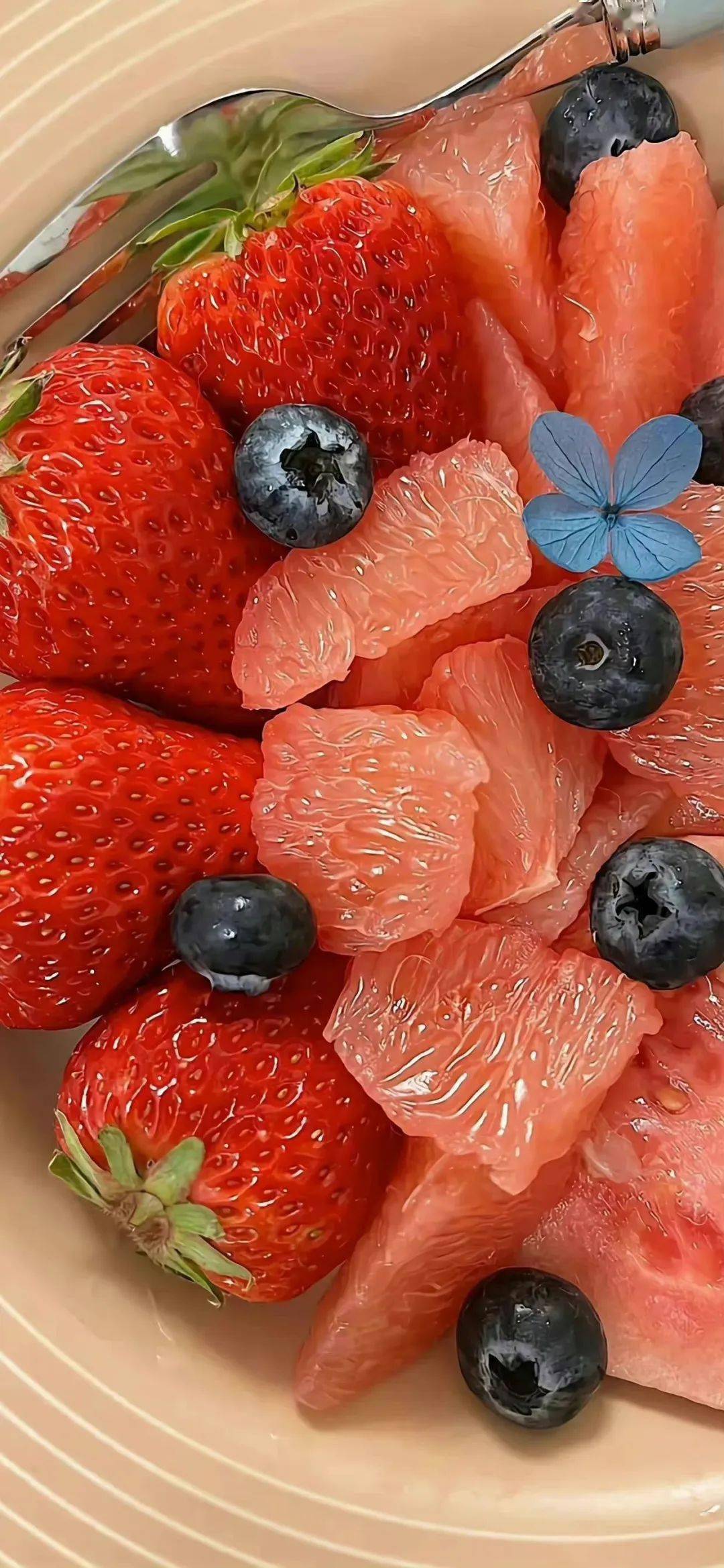 壁纸| ins美食壁纸高清