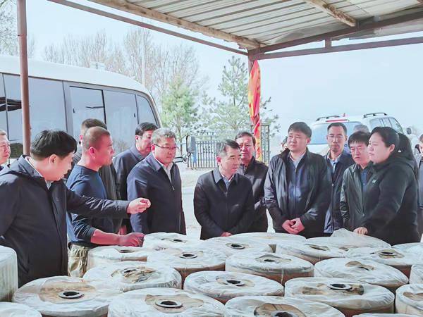 省自然资源厅厅长台培青深入大安市,镇赉县调研农业生产综合服务工作