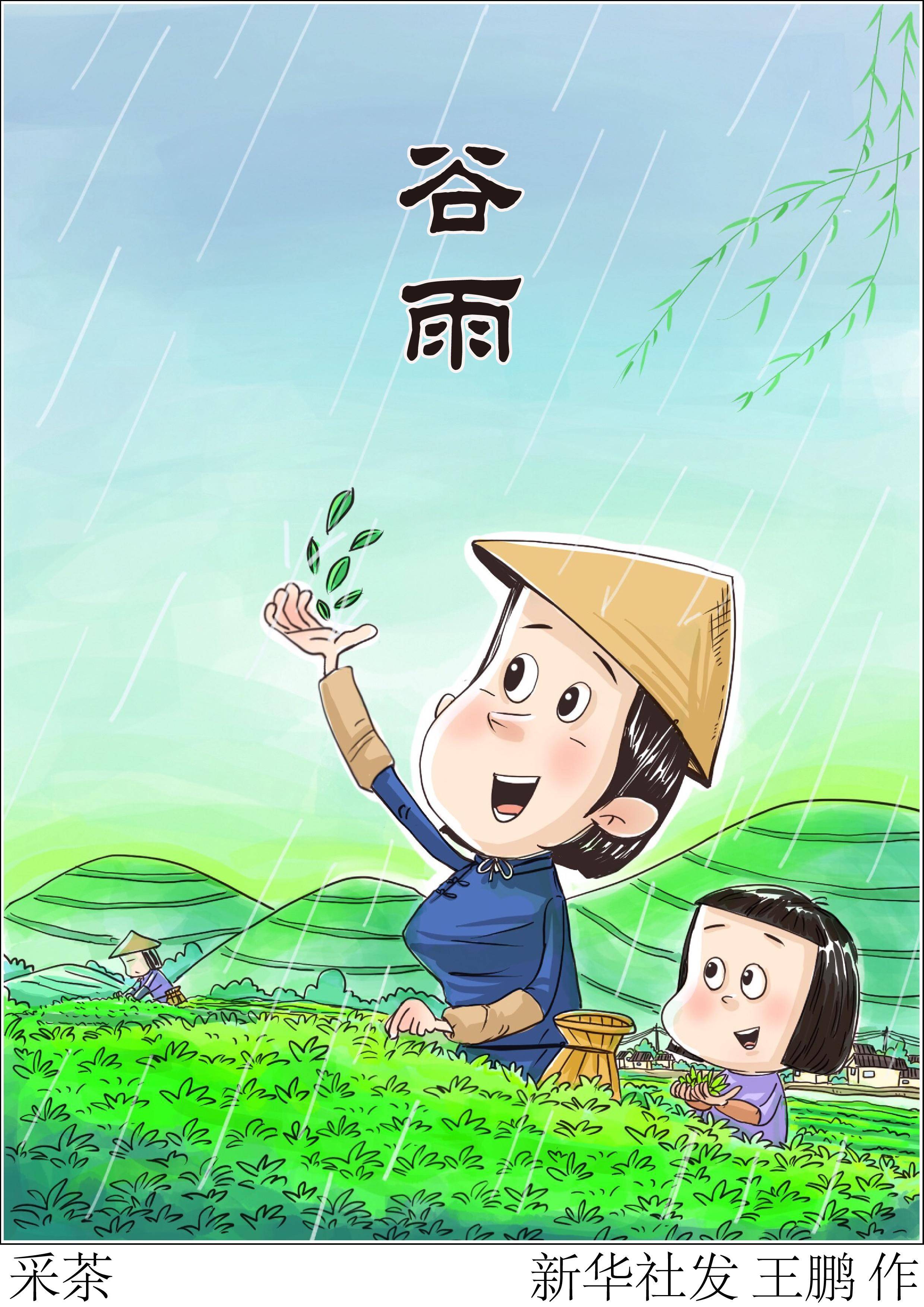 (图表·漫画)〔二十四节气·谷雨〕采茶_新华社_山川_春光