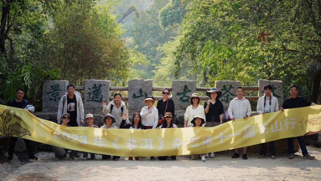 茶山行第一站丨走進一座申遺的古茶山_景邁山_活動_茶園