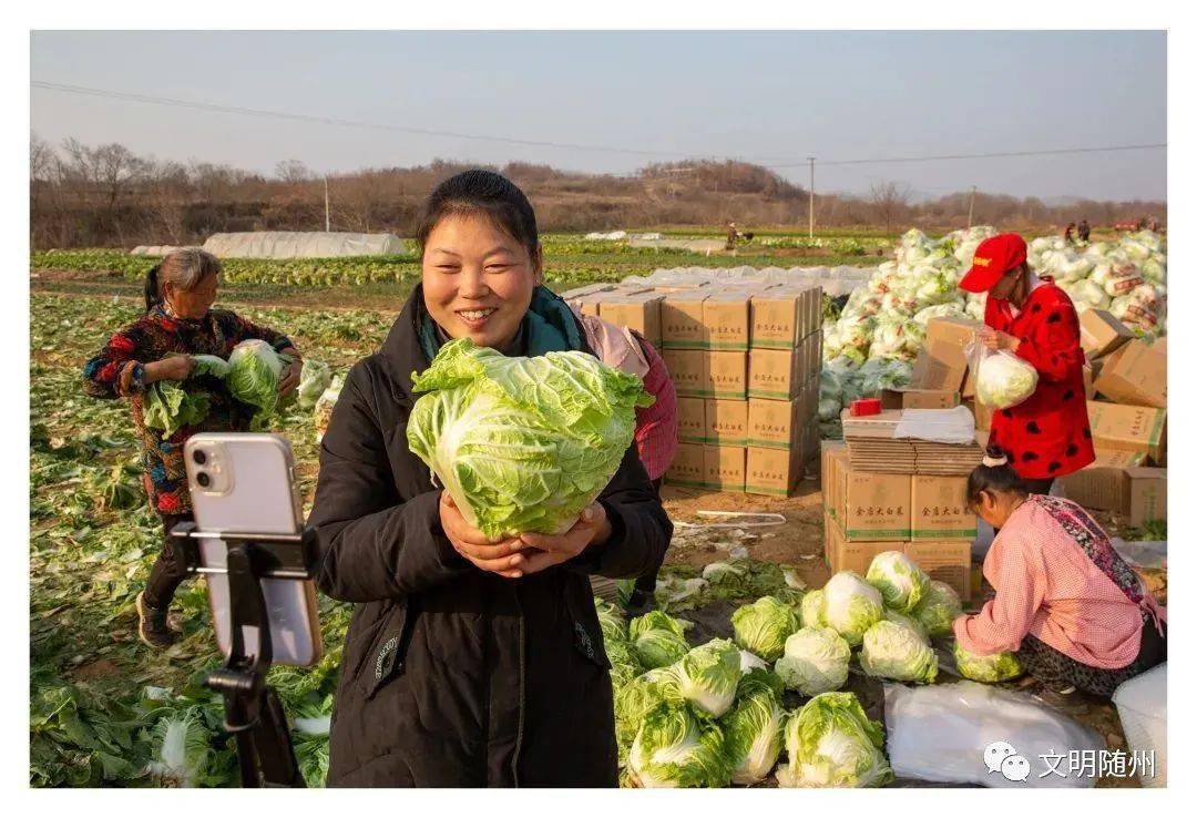 广水付艾华上榜"荆楚楷模"_随州市_余店_蔬菜