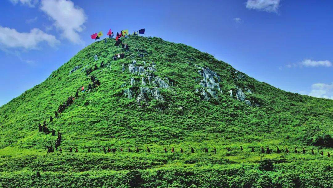 百里杜鹃景区门票调整_发展_花坡_公告