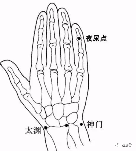 掌握此穴,轻松治疗 " 尿频,尿急与尿闭 "_中点_横纹_疗效