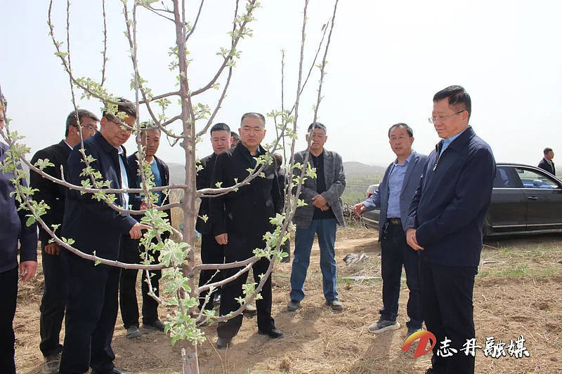 李炜到义正镇调研指导产业建设 退耕还林等春季农业农村重点工作_发展