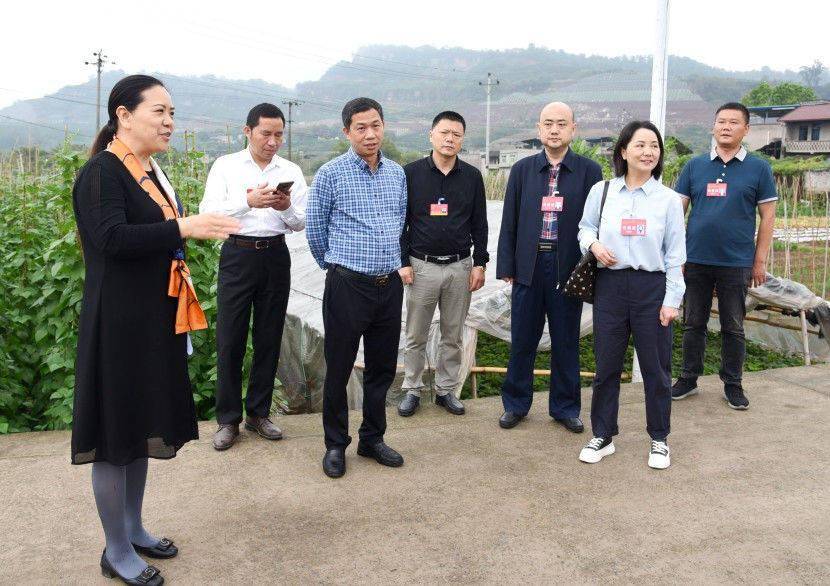 罗光武李世友张世英罗明兰密集开展活动_发展_建设_江津