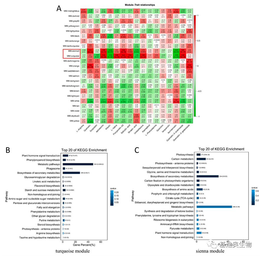 转录组+代谢组，常规组学关联新思路_基因_分析_亚型
