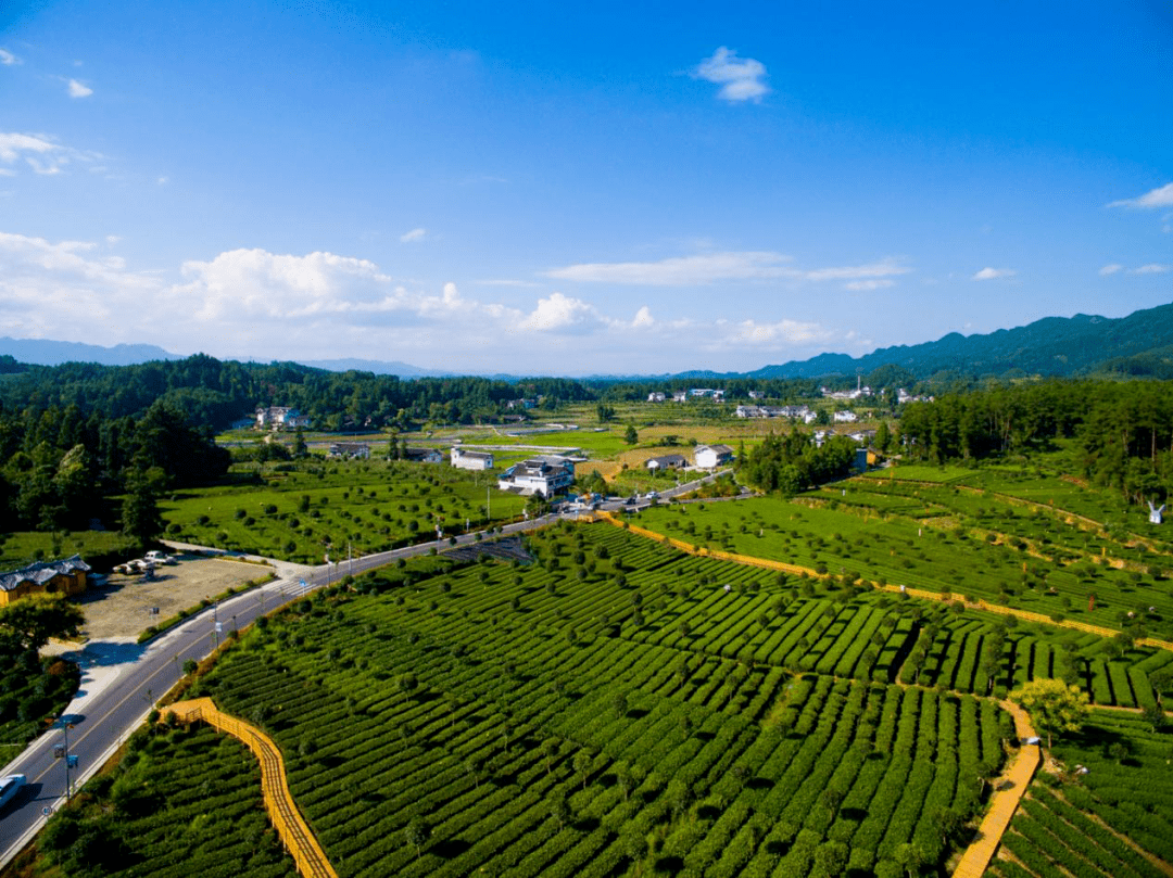 凤冈仙人岭简介图片