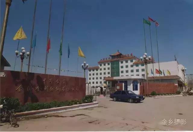 金乡老照片集锦!金乡60,70,80后永远的记忆!_年代_文峰塔_县城