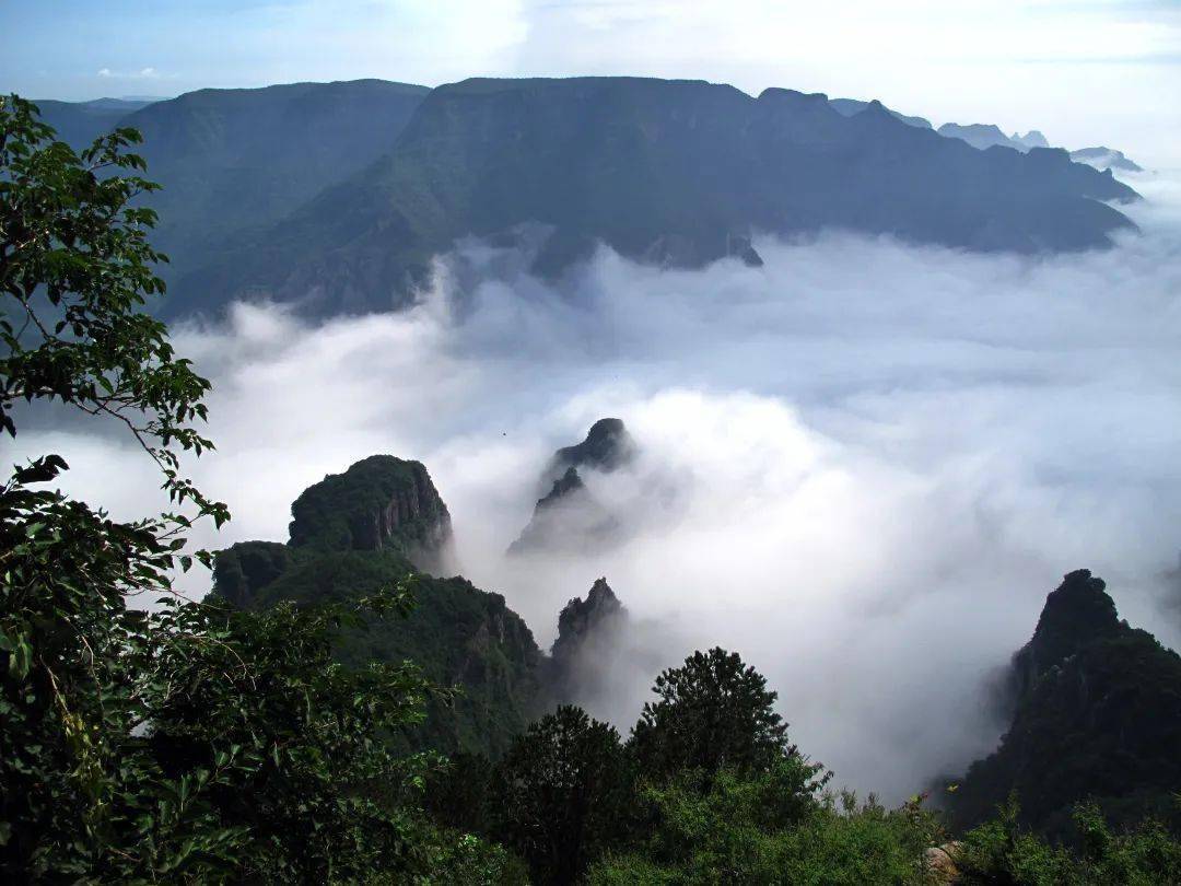 快来!看神农山大美云海!_中原_畅游_内容