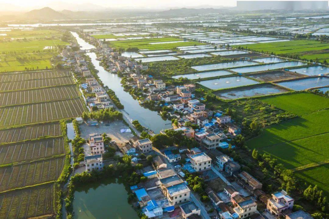 他山之石 | 广东省珠海市白蕉镇南澳村:把文明种子播进百姓心田_实践