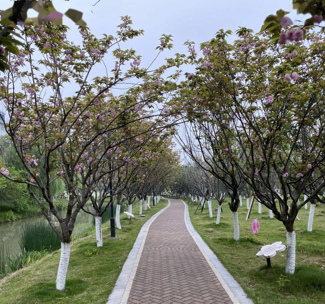 02且赏丹青天成知名画家蔡起宝先生,师承于右任,张大千,厉铎,从北京