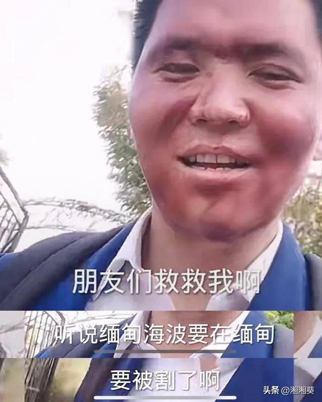 海波求救视频诡异_网友_缅北_人们