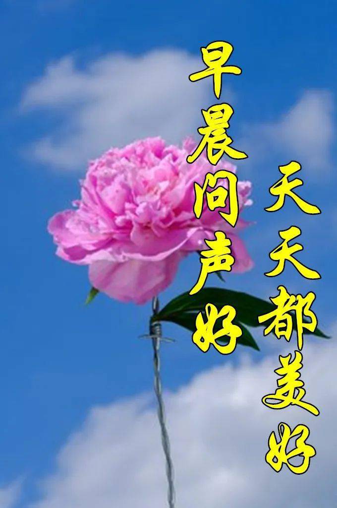 最新早安图片 ,早晨问声好,天天都美好