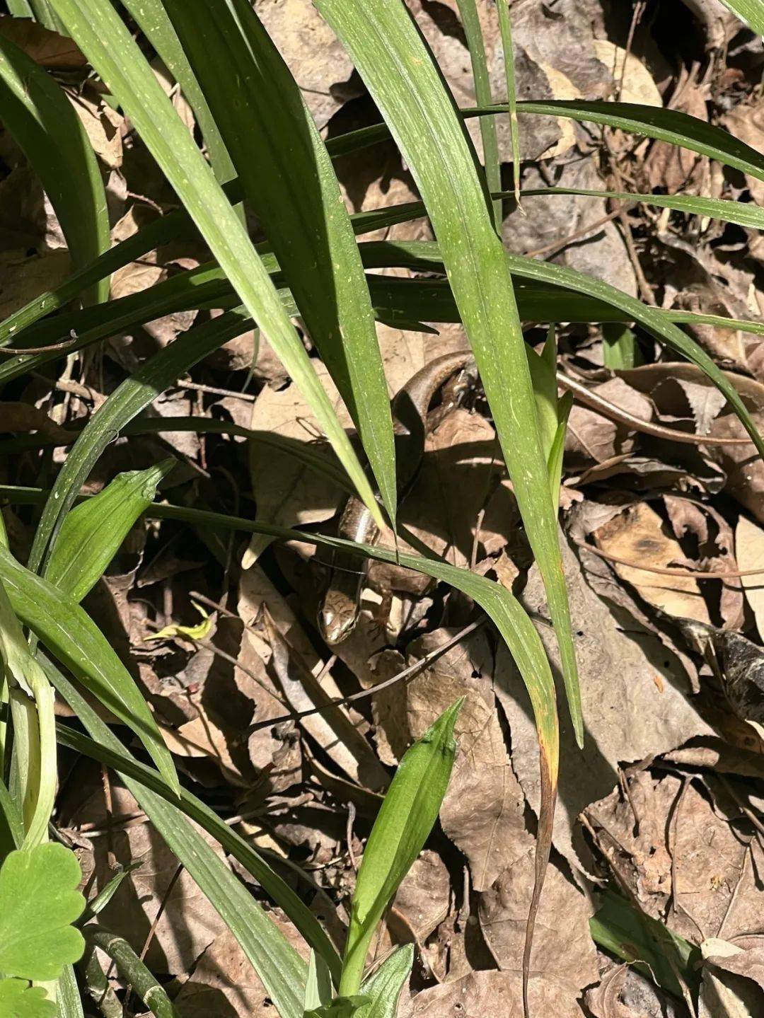 编辑:印青责编:项丹终审:祝