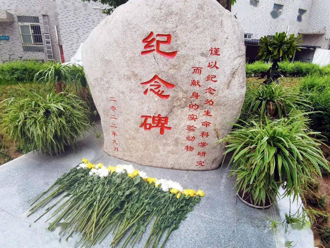 关注实验动物福利伦理"为主题的世界实验动物日纪念活动