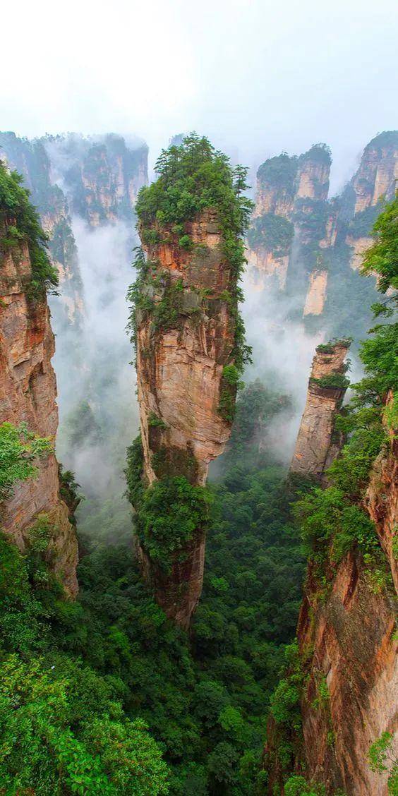 房子_高山_大树