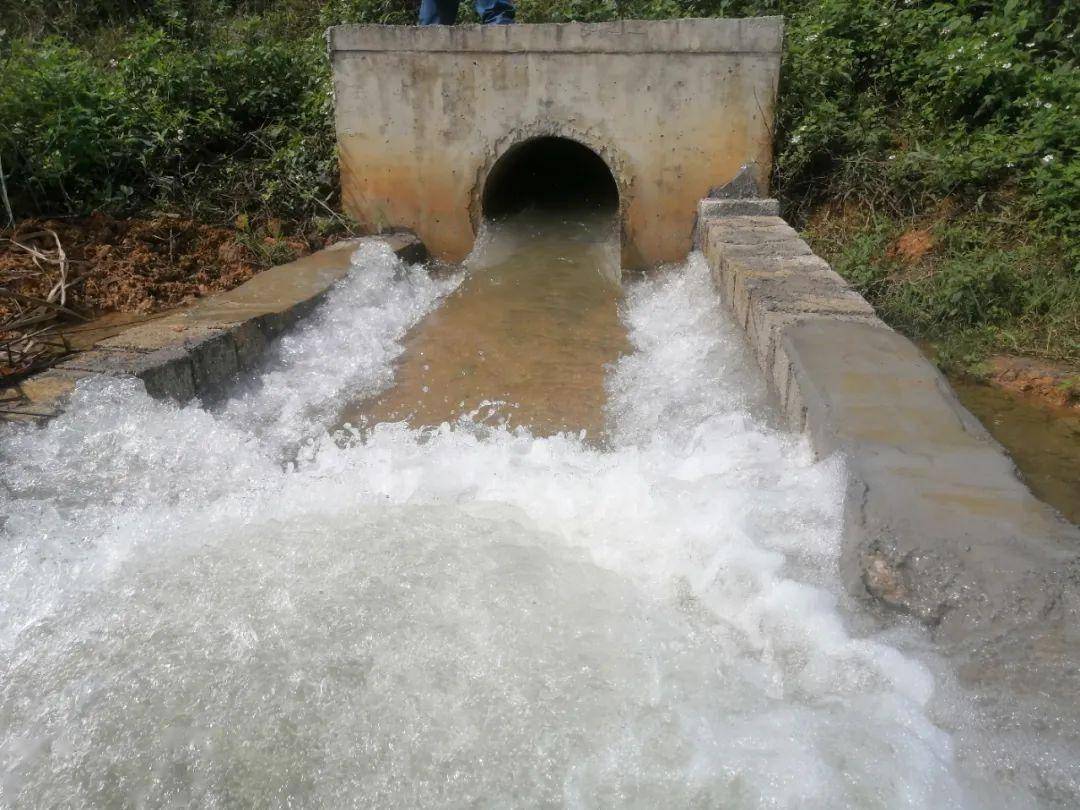3200多亩农田喝上"自来水",多亏了这项大工程~_桂中_灌溉渠_水渠