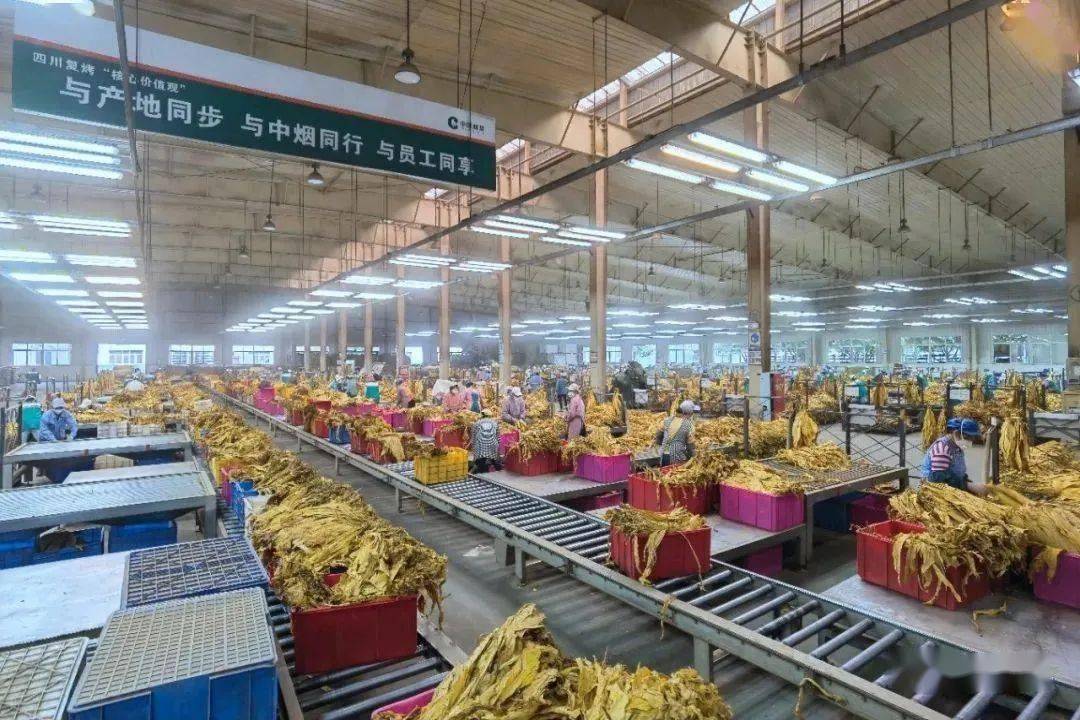 祝贺丨四川烟叶复烤有限责任公司会理复烤厂获得四川省工人先锋号称号