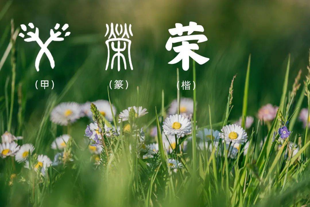荣誉,光荣的意思.