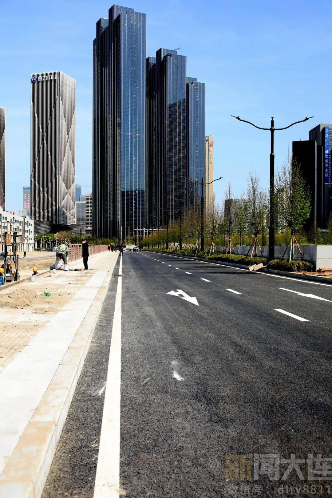 大连湾海底隧道南岸路网