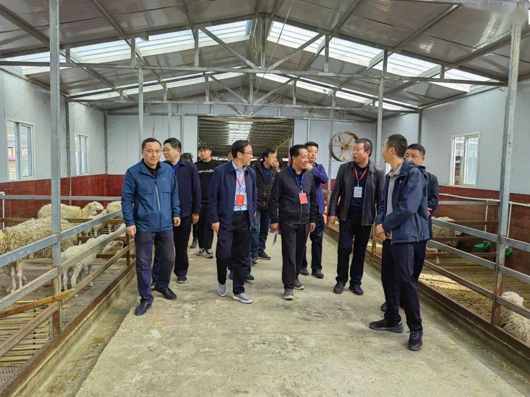 4月25日,市人大常委会副主任冯醒民带领第二视察组