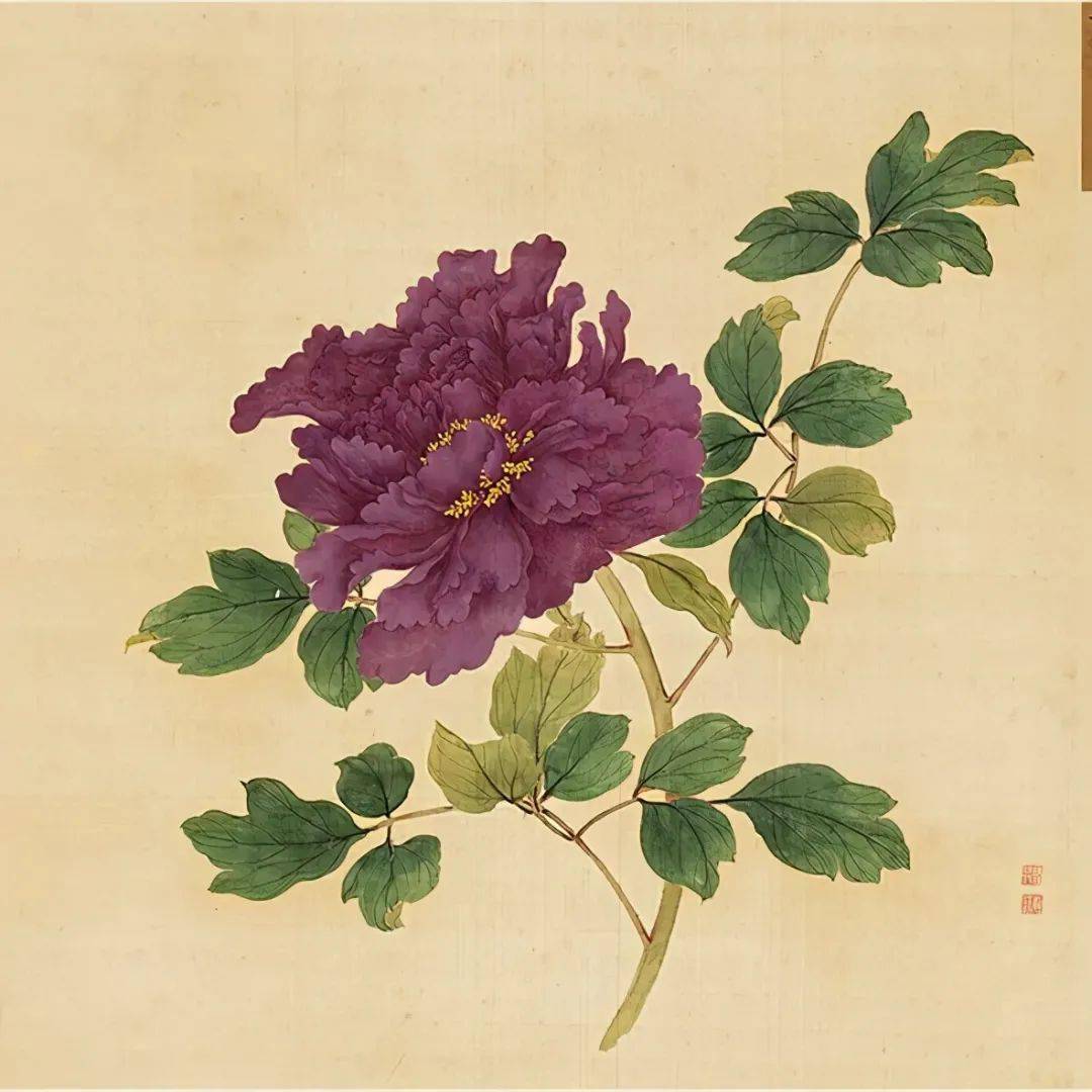 百种牡丹谱全图_白居易_颜色_人间