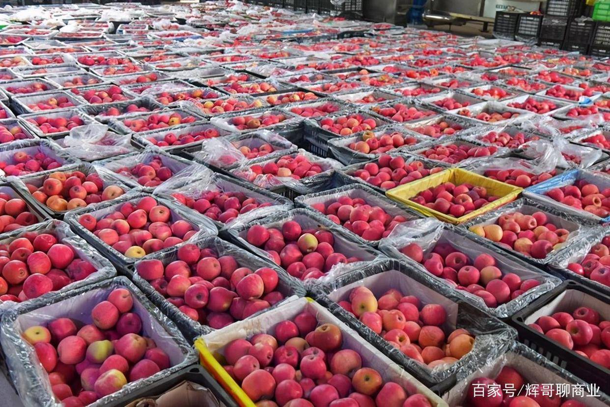 水果批发市场有苹果2吨卖出了1/4卖出了多少吨